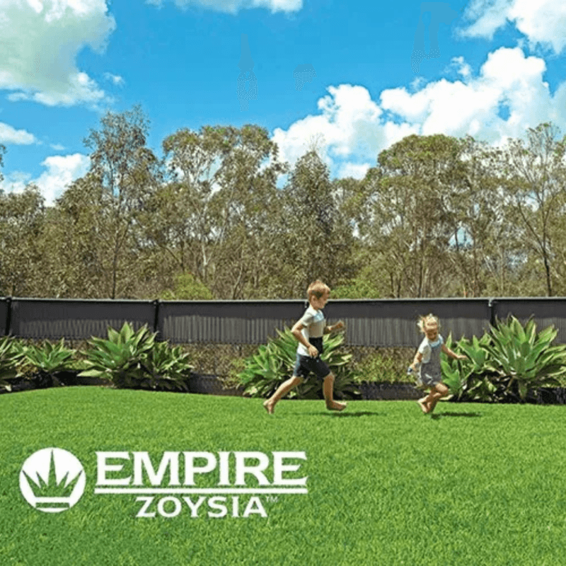 Thumbnail Empire Zoysia Thumbnail Empire Zoysia